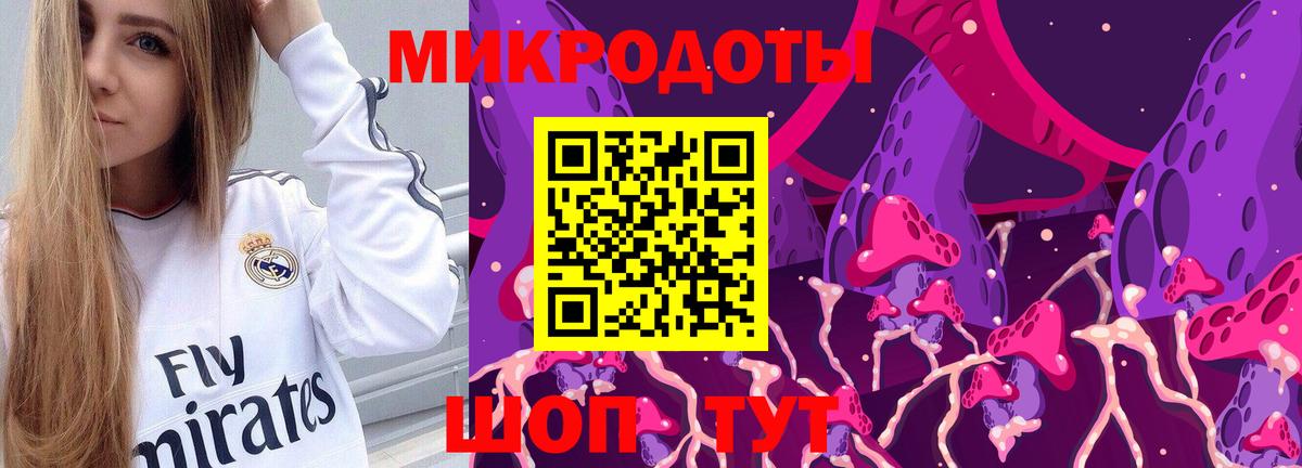 Галлюциногенные грибы Psilocybine cubensis  Вход с VPN  наркошоп  Баксан 